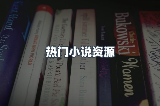 热门小说资源