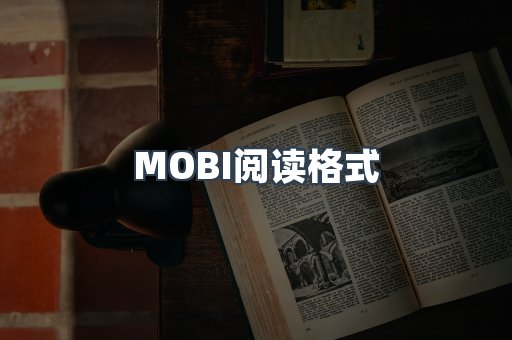 MOBI阅读格式
