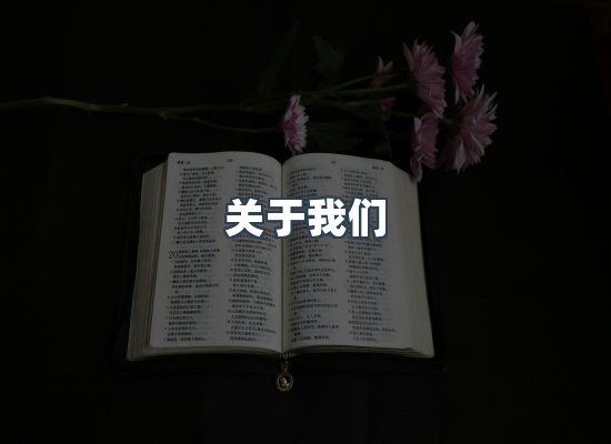 关于我们